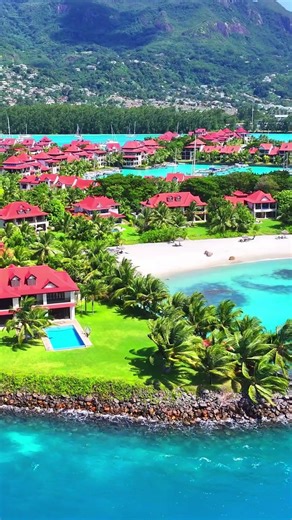 Beautiful Tropical Paradise Moments | #paradise #travel #shortvideo