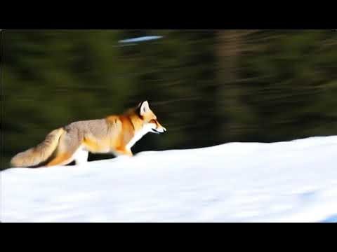 ラーニング・AIビデオ#2 ComfyUI をインストールする｜本田博通@トールキンファン