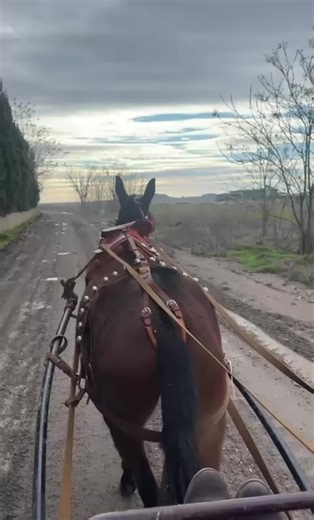 Al mal tiempo, buen paseito en el mundo rural