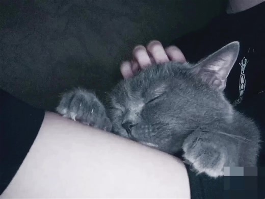 #фембой #фембойчик #фембойчикивчулочках #рек #рекомендации #актив | femboy