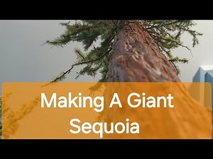 Making A Giant Sequoia