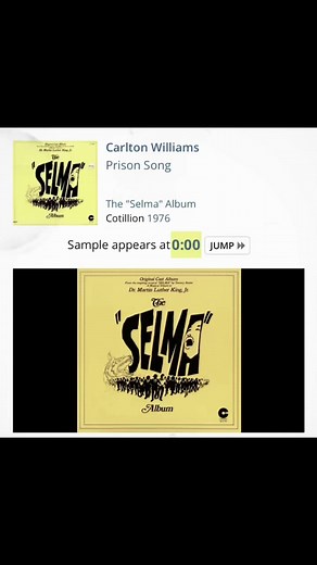 SimpleSampled TikTok'ta