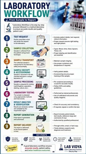 Laboratory Workflow Explained | Sample Collection to Report Delivery | #medicallaboratory #dmlt