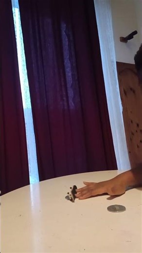 Rate my fingerboarding tricks 🤩🤩🥰 #edit #fingerboard #fingerboardclips