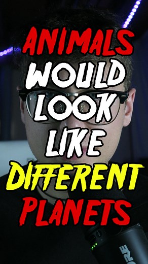 Animals on Different Planets: Exploring Alien Worlds