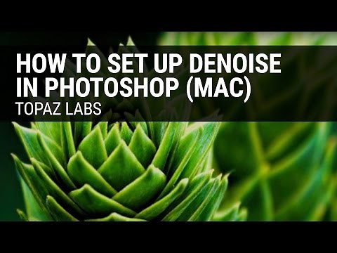 How to set up Topaz DeNoise in Photoshop (Mac)