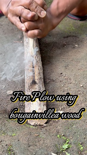 2.3M views · 25K reactions | Fire plow using bougainvillea wood #fireplow #primitivefirelighting #fireplowskills #fireskills #outdoors #survival #selfsufficiency #bushcraft | dalemgumino | Facebook