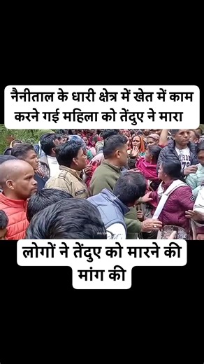 Sundeep Kumar Sk on Instagram: "नैनीताल के धारी क्षेत्र में तेंदुए ने महिला को मौत के घाट उतारा, लोगों में आक्रोश #nainital #DistrictAdministration #tourism #jungle #forest"