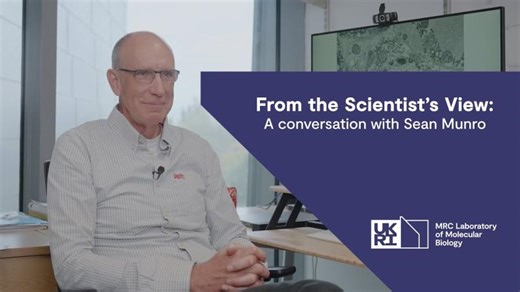 From the scientist s view: a conversation with Sean Munro | MRC Laboratory of Molecular Biology (LMB)
