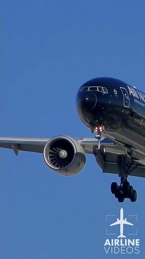 Air New Zealand All Blacks Livery Boeing 777