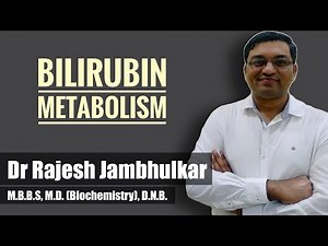 Bilirubin metabolism ( Heme catabolism) by Dr Rajesh Jambhulkar