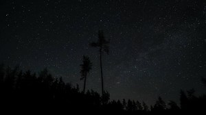 Timelapse of moving stars around a polar star in night sky over tree silhouettes. The constellation Ursa Major is clearly visible. 4K