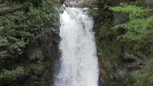 Slow Motion Waterfall Water Falls Down Steep Slope in Forest