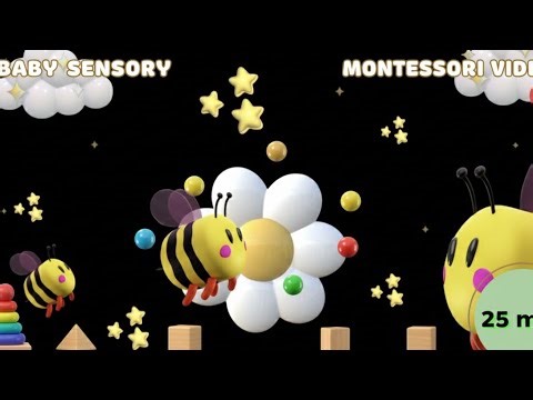 Montessori Baby Sensory • Visual Stimulation for Infants and toddlers baby sleep lullaby sensory