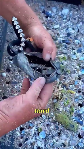 Plastic Box or Treasure Chest? He Strikes Gold! #fyp #treasurehunt #beachfinds #diytools #realstory