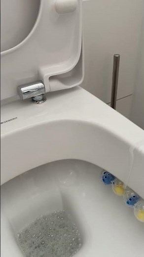 Geberit WC Sitz Abnehmen /Tauschen