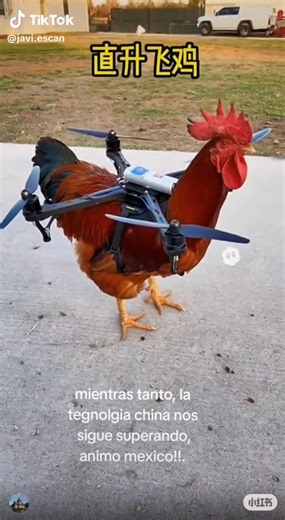 😂😂😂 | FarmX