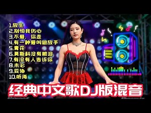 【国语歌DJ】经典歌曲DJ版混音 舒服的节奏 车载酒吧舞厅必听 DJ打碟实录 Chinese DJ Song REMIX