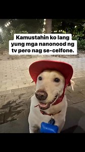 wag mo guluhin yung mga nanonood ng tv para lang mag pakita ng video. | Popoy