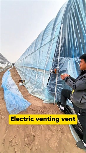 The greenhouse electric ventilating film rolling device is in the debugging #greenhouseinstallation