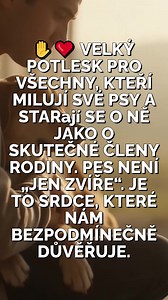 ✋❤️ Velký potlesk všem, kteří milují své psy a pečují o ně jako o plnohodnotné členy rodiny. Pes není „jen zvíře“. Je to věrný přítel, upřímné srdce a bezpodmínečná důvěra, kterou bychom měli chránit každý den. Láska, péče, pozornost a teplo — to je to, co potřebují nejvíce. Protože pro nás je to část života, ale pro ně jsme celý svět 🐾 | Životní příběhy
