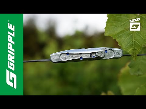 GP Fix | Product Focus