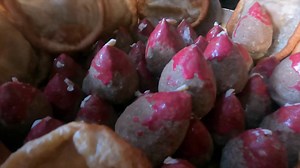 89K views · 6.2K reactions | Kangyur || Buddhist text reading https://youtu.be/uJoQWyozInA | Tribal girl | Facebook