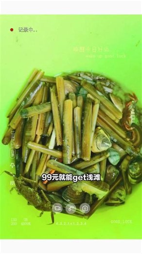 99元就能get浅滩挖螺抓蛏子的赶海乐趣啦！就在海景大道的海之音赶海哦！带娃来这儿玩，既能感受红树林的独特魅力，还有专业领队陪着，超让人放心！赶海工具都给你安排到位，轻轻松松就能享受挖贝的快乐时光，孩子玩得都不想走了，简直不要太惬意！这么棒的体验，点击下方链接了解一下吧～