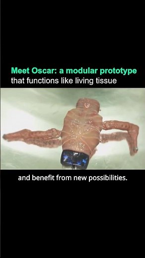 Oscar: a modular robot prototype that functions like living tissue… or does it? #robotics