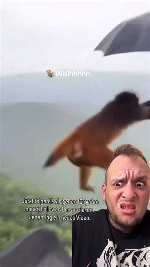 1 Meter pro Follower I Eric Bernath I Hamburg I on Instagram: "Wie hat er das denn gemacht? 😭😭😭🐒🐒🐒#reaktion #witz #satire"