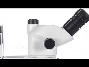 Euromex NexiusZoom Stereo Microscope The new standard in stereo microscopy