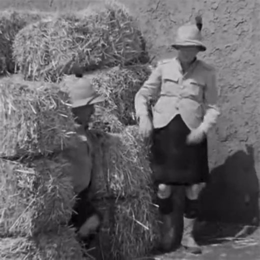 Laurel and Hardy in ‘Perfect Day’ (1929) | Classic Comedy