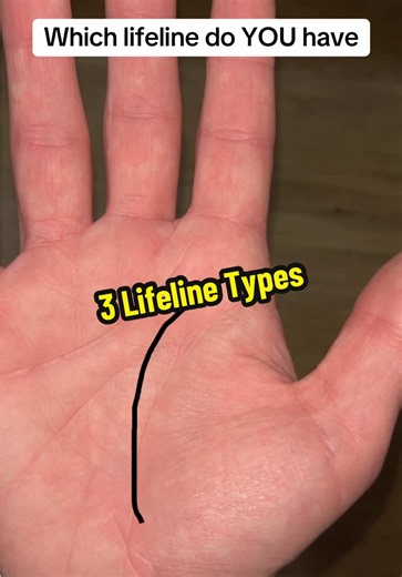 Explore Your Lifeline: Discover Your Palm's Secrets