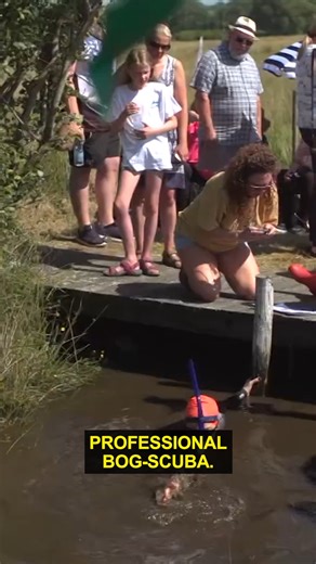 Look, scuba or snorkel, it's still in a farkin' bog. 🎙🏆 | Ozzy Man Reviews