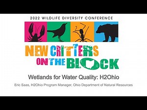 Wetlands for Water Quality: ODNR’s H2Ohio Program