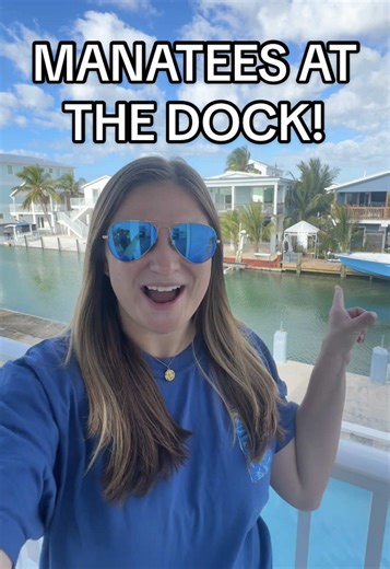 always love watching the manatees in the keys 😍 *remember, manatees are protected so you can’t feed, water, pet, or chase them!* #manatee #dock #flkeys #floridakeys #manatees