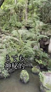 久しぶりの神社で見上げたらなんと彩雲✨太宰府天満宮と初めての竈門神社#縁起が良い #皆様に幸せが訪れますように #彩雲 #景色 #観光