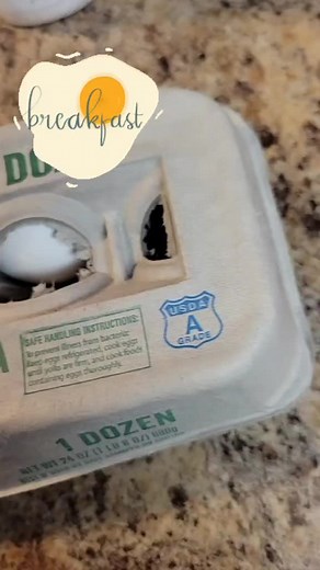 Cheesy Omelet Recipe - Soft Food Ideas for Bariatric Patients