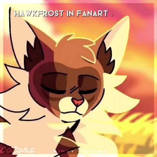 Hawkfrost Warrior Cat Ship and Battle Edits