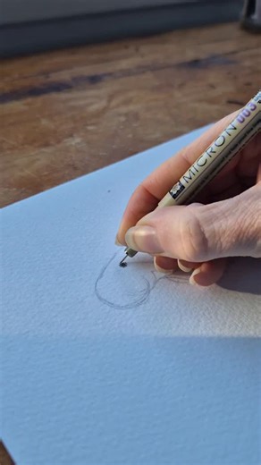 One of my most requested species 💚 Finally time to put my pen towards a manatee and dugong illustration. Can you spot the differences between the species? These large gentle creatures are herbivorous marine mammals. They graze on seagrasses, algae and weeds, for 6-8 hours a day! They both inhabit warm tropical and subtropical waters, but their habitats don't overlap. Dugongs are found in saltwater only, manatees can be found in fresh and saltwater 🌊 They can be differentiated by their tail sha