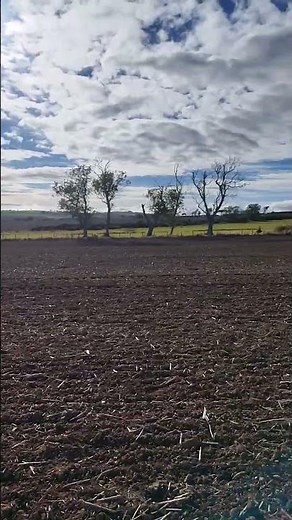 Detectormania this weekend!! New content coming, stay tuned. 😁