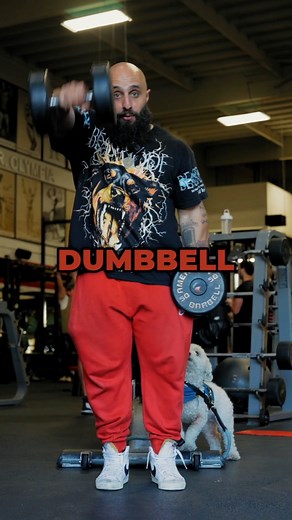 79K views · 2K reactions | Chest supported front dumbbell raises are...