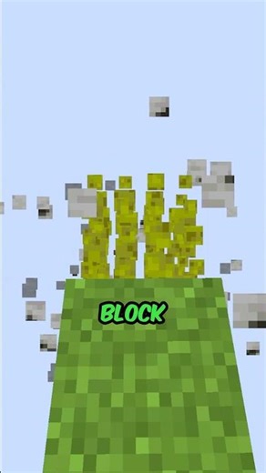 This server only has one block #shorts