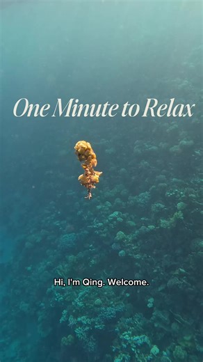 One Minute to Relax🌊 #meditation #relax #calm #breathe #CapCut | Meditation