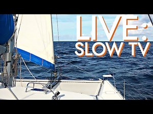 LIVE SLOW TV - Sailing the Caribbean Sea with Starlink [RED SEAS]