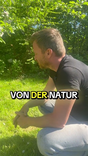 Warum schwärmen Bienen eigentlich? 🤔🐝 Ganz einfach: Platzmangel und Vermehrung!