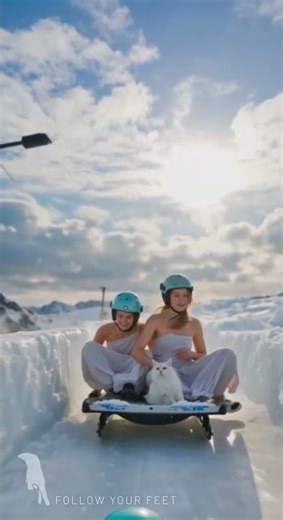 Bobsleigh Sliding With A Cat in Cortina | Steep Winding Ice Track