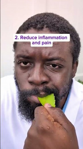 Amazing Benefits of Leaf of Life