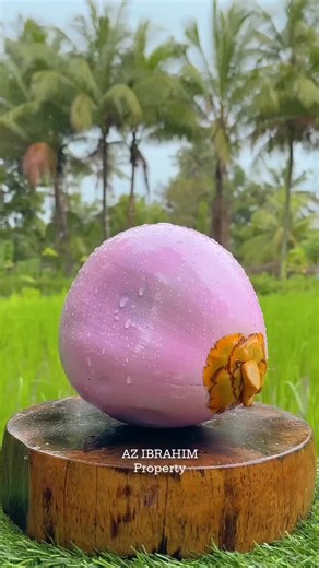 Satisfying Coconut Slicing: A Visual Delight