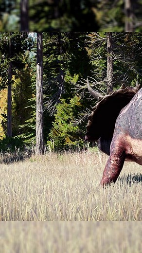 🦖Paleo T-REX vs Paleo TRICERATOPS HORRIDUS in JWE2 #jurassicworldevolution2 #jurassicworld #jurassicpark #tyrannosaurus #triceratops